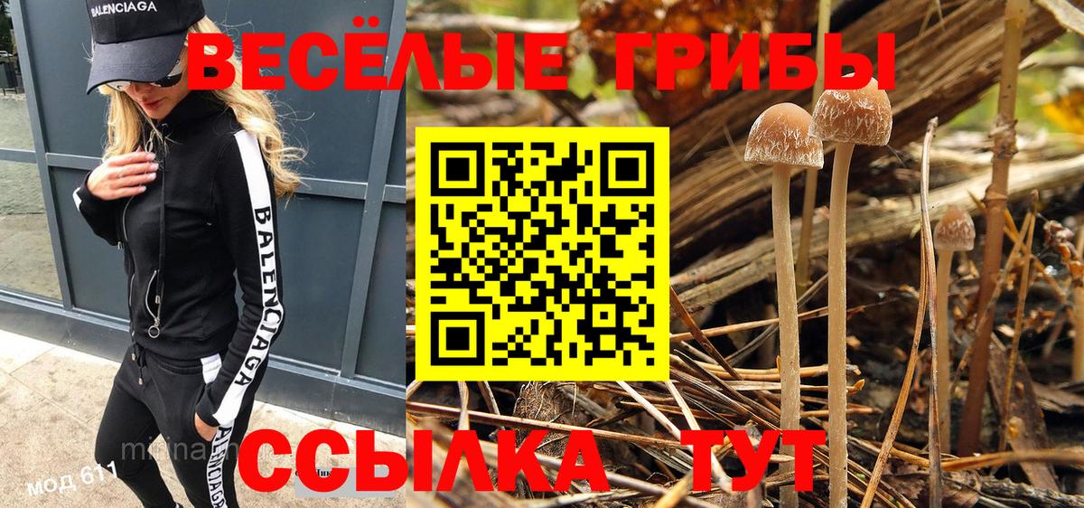 Псилоцибиновые грибы мухоморы  Вход с VPN  Малоярославец 